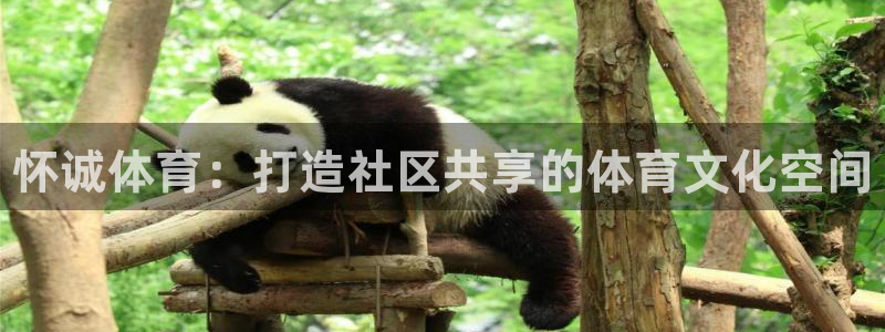米兰体育官网下载招商电话号码查询：怀诚体育：打造社区
