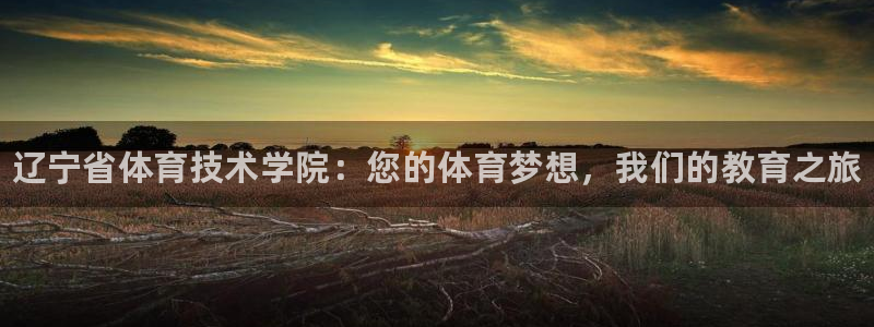 米兰体育官网下载平台注册流程视频：辽宁省体育技术学院