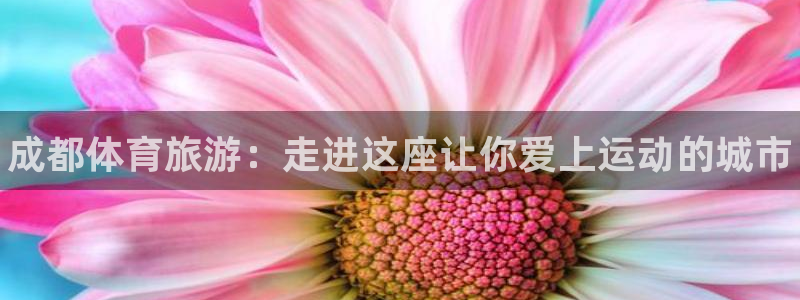 米兰体育官方正版app新能源：成都体育旅游：走进这座