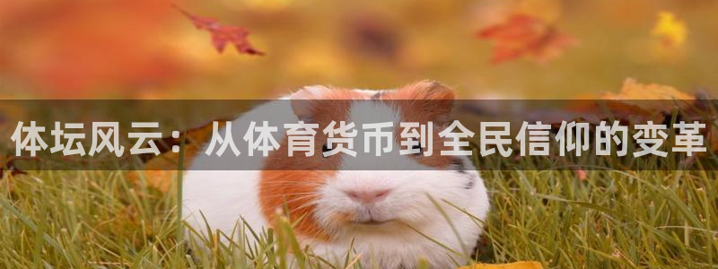 米兰体育官网下载官方客服电话：体坛风云：从体育货币到