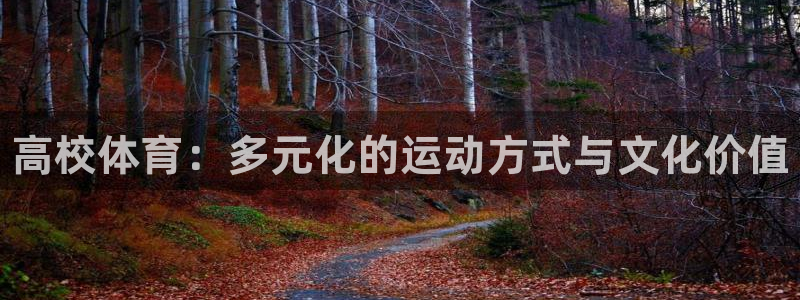 米兰体育官网下载软件：高校体育：多元化的运动方式与文