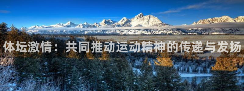 米兰体育官方正版app娱乐首页官网下载：体坛激情：共