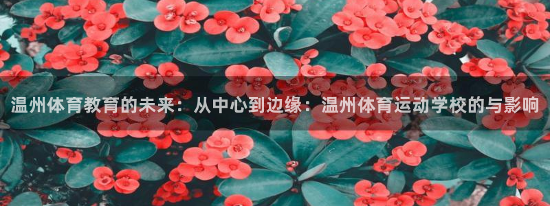 米兰体育官网下载是干嘛的公司：温州体育教育的未来：从