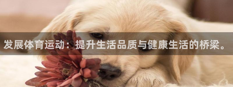 米兰体育官网下载平台是正规平台吗：发展体育运动：提升