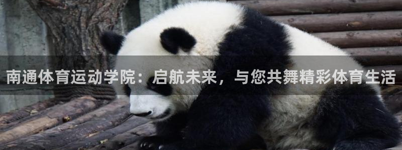 米兰体育官方正版app集团官网首页：南通体育运动学院：启航未