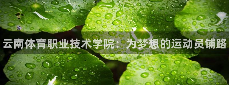 米兰体育官网下载招商：云南体育职业技术学院：为梦想的运动员铺