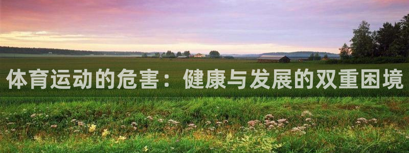 米兰体育官网下载娱乐：体育运动的危害：健康与发展的双