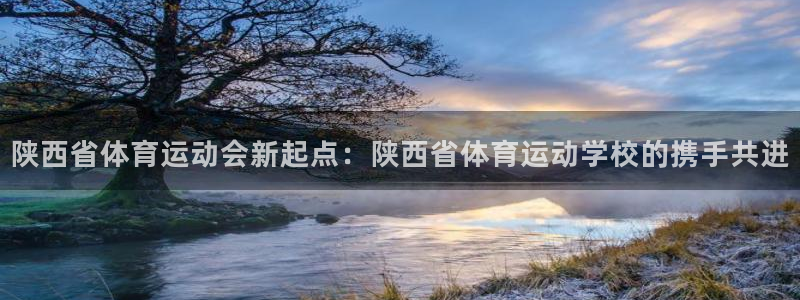 米兰体育官方正版app集团官网首页：陕西省体育运动会