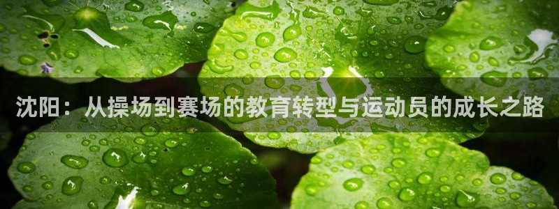 米兰体育官方正版app集团logo：沈阳：从操场到赛