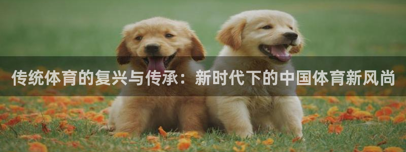 米兰体育官网下载是干嘛的公司