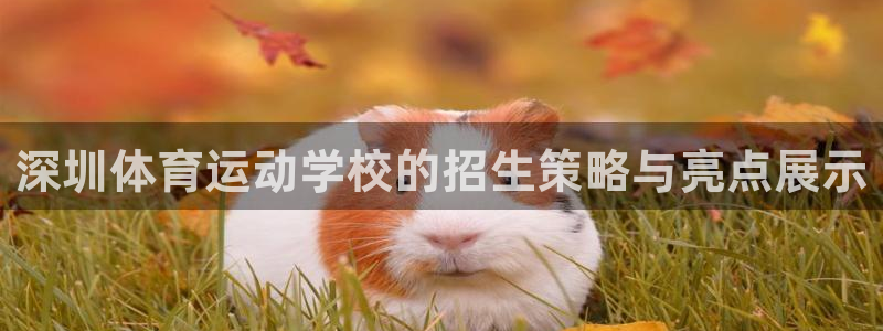 米兰体育官方正版app娱乐：深圳体育运动学校的招生策略与亮点