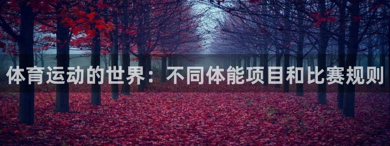 米兰体育官网下载娱乐