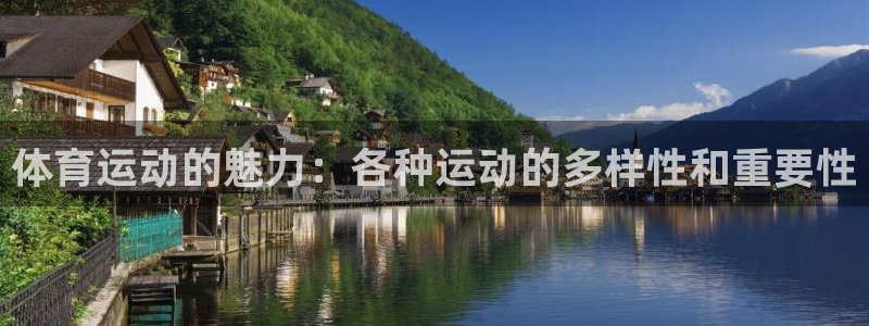 米兰体育官网下载招商电话是多少：体育运动的魅力：各种运动的多