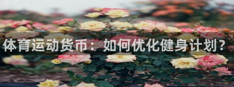 米兰体育官方正版app集团官网网址：体育运动货币：如何优化健