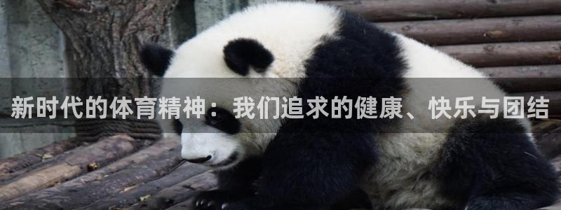 米兰体育官方正版app娱乐首页官网下载