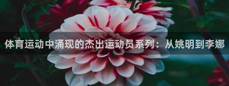 米兰体育官方集团官网：体育运动中涌现的杰出运动员系列：从姚明