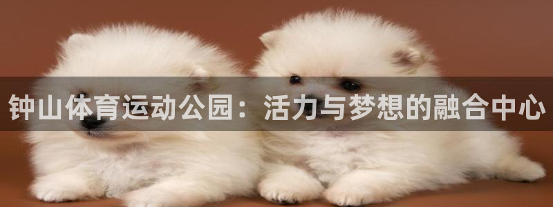 米兰体育官方正版app娱乐代理怎么样：钟山体育运动公园：活力