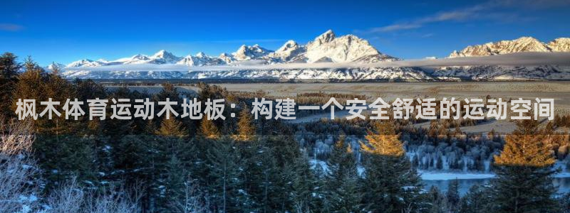 米兰体育官方正版app官方