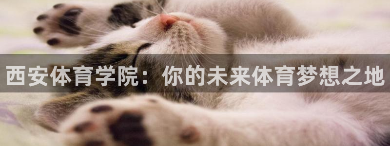  米兰体育最新版：西安体育学院：你的未来体育梦想之地