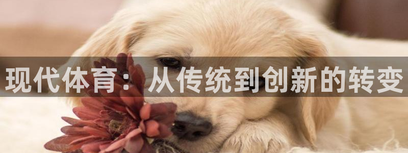 米兰体育官网下载：现代体育：从传统到创新的转变