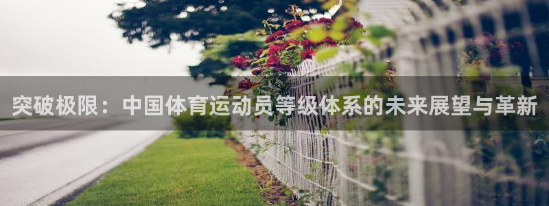 米兰体育官网下载平台注册流程图：突破极限：中国体育运动员等级